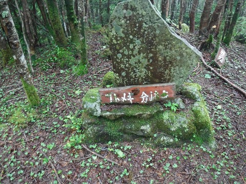 DSCF1508