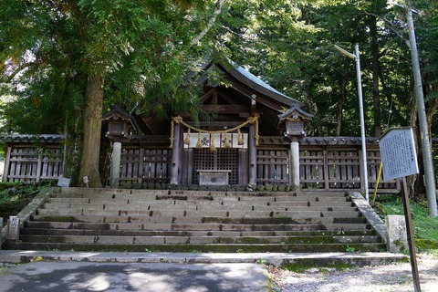 DSC05211