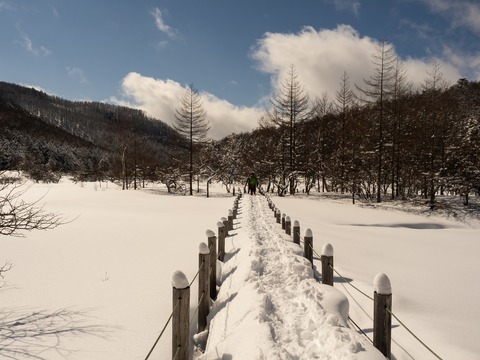 033 湿原を横断する遊歩道。