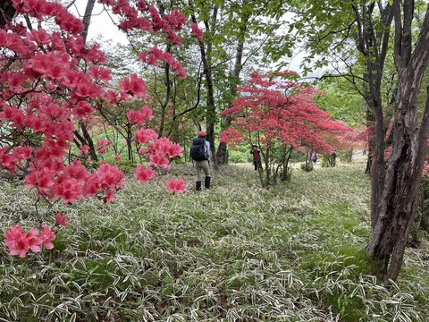 16 丁度見頃に当たったようだ。