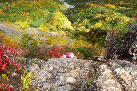 148 このちゃん、大日岳の最後の登り。