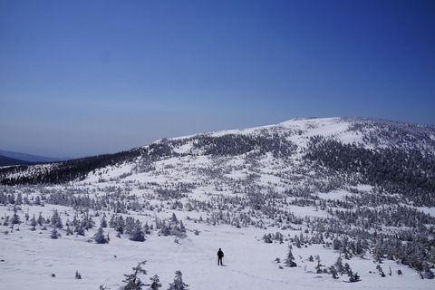 DSC04516