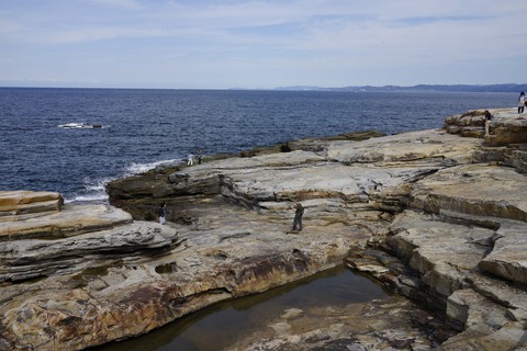 _DSC0040