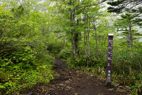 _DSC9127
