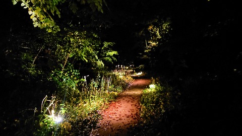 DSC_0090(1)