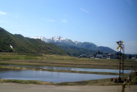 DSC06131