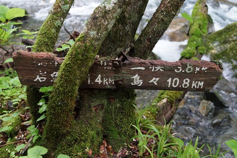 098 岩魚留まであと1.4km。