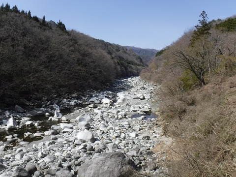 DSCF8046