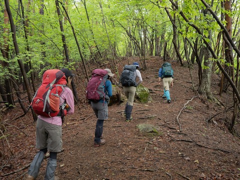 011 調べると古峰神社が所有しているらしい。