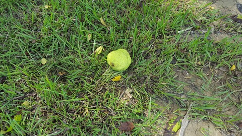 20170903_104519