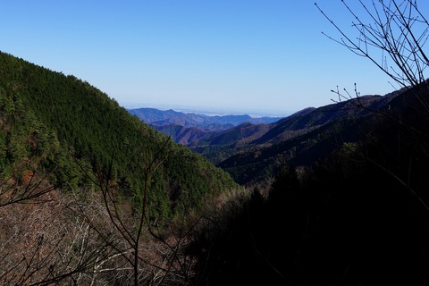 024 鞍部から東京の高層ビル群が見えた。