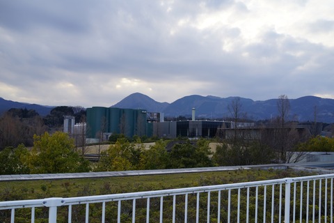 DSC05557
