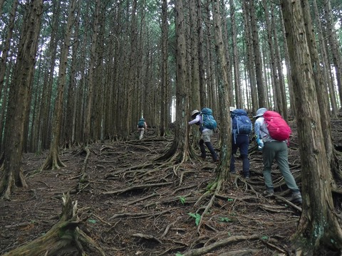 30 本来の道は抉られて赤土が露出しているので迂回。