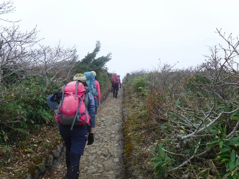 005 緩やかな登りが続く。