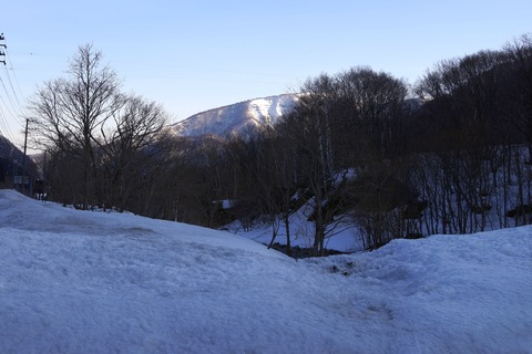 DSC07463