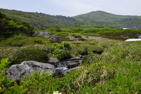 _DSC9171