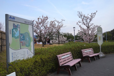 DSC05558