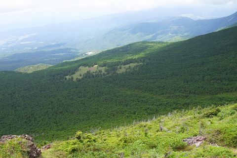 DSC05042