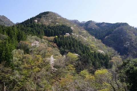 DSC01080