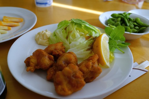 DSC09092