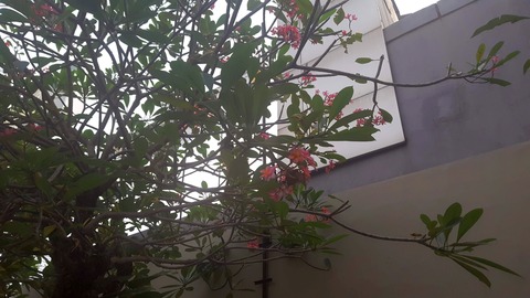 20180721_173121