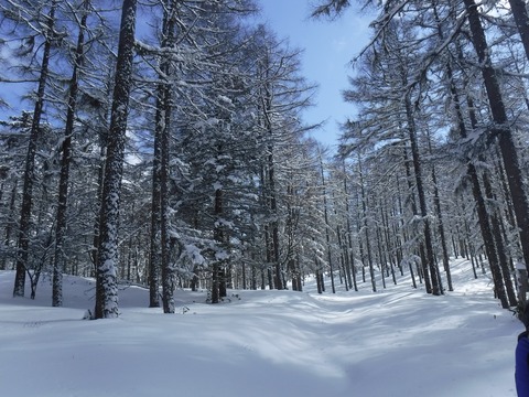 036 僕の前に道はない。