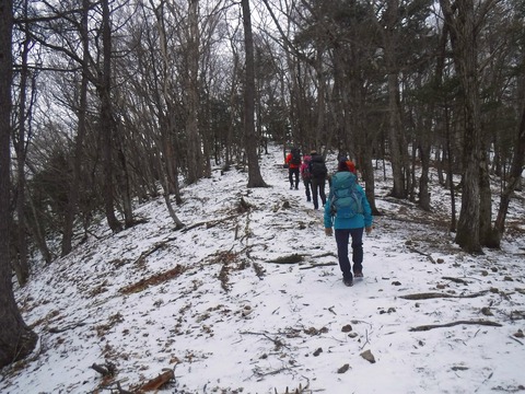 28 年末の山っぽくなってきた。