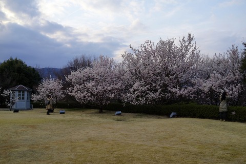 DSC05555