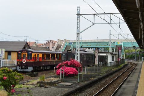 DSC_1301