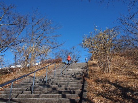 13 この上が美の山公園。