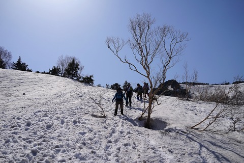 DSC08049