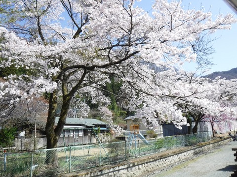 DSCF8048