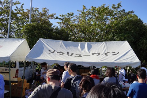 DSC06435
