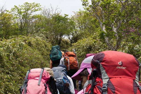 042 下十枚山の登り。