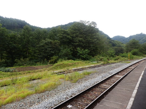 P9060404