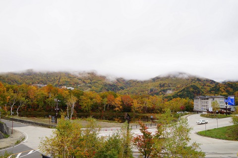 DSC09411