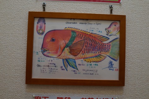 DSC09785