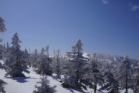 DSC04511