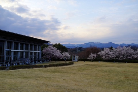 DSC05556
