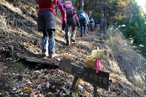 098 ここから山道。