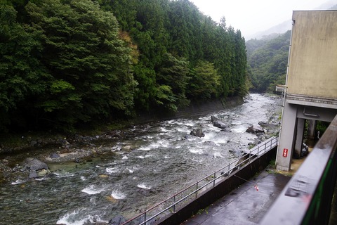 48 紅椿の湯のすぐ裏が道志川。