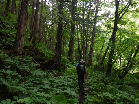 099 まだ、ほぼ平坦。