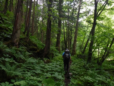 099 まだ、ほぼ平坦。