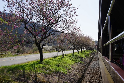 DSC01073