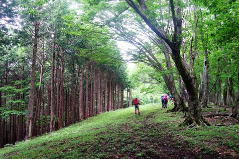 41 気持ちが良いところ。