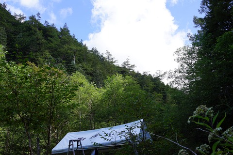DSC02537