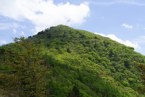 056 十枚山まで140m登り返す。