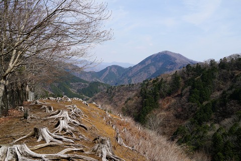 51 世附権現山。