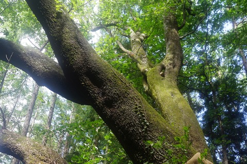 DSC05216