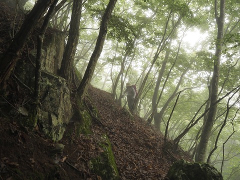 36 踏み跡はある。